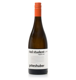 Gebeshuber Ried Student Rotgipfler 2023 - Gumpoldskirchen