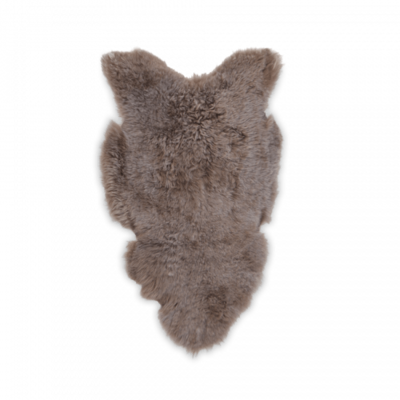 Pelage Moutons Taupe