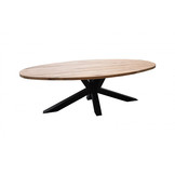 Ovale eettafel Andros | 260 cm