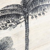 Morita Forest bamboe | Large - 120 cm