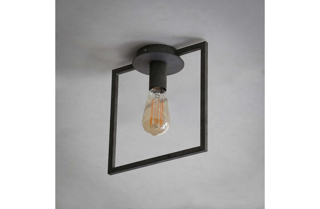 Plafondlamp | Roswell | 1L
