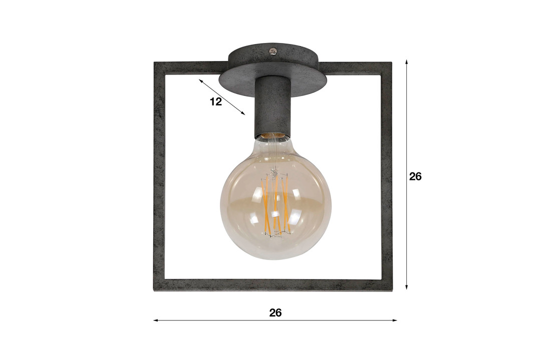 Plafondlamp | Roswell | 1L