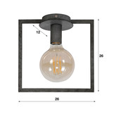 Plafondlamp | Roswell | 1L