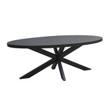 Ovale eettafel Kala spider | 240 cm
