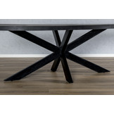 Ovale eettafel Kala spider | 240 cm