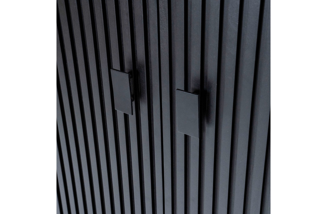 Kabinet Remi zwart | 2 deuren