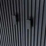 Kabinet Remi zwart | 2 deuren
