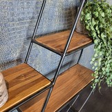 Wandrek Teak