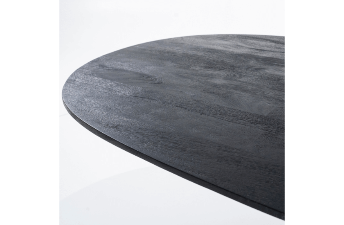 Eettafel Aron ovaal 250x110 - zwart