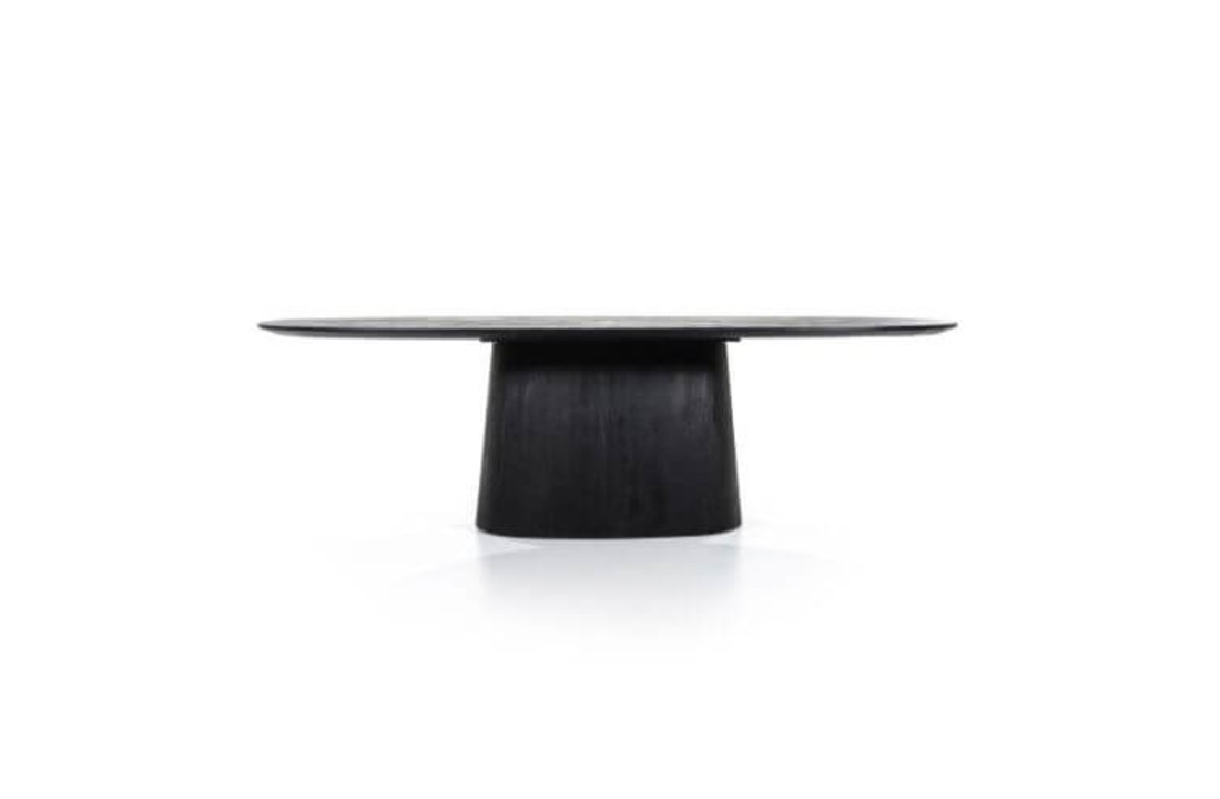Eettafel Aron ovaal 250x110 - zwart