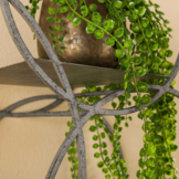 Wandlamp | Rond XL | Oud zilver | 1L