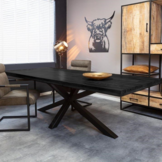 Mangohouten eettafel Denver Black | 240 cm