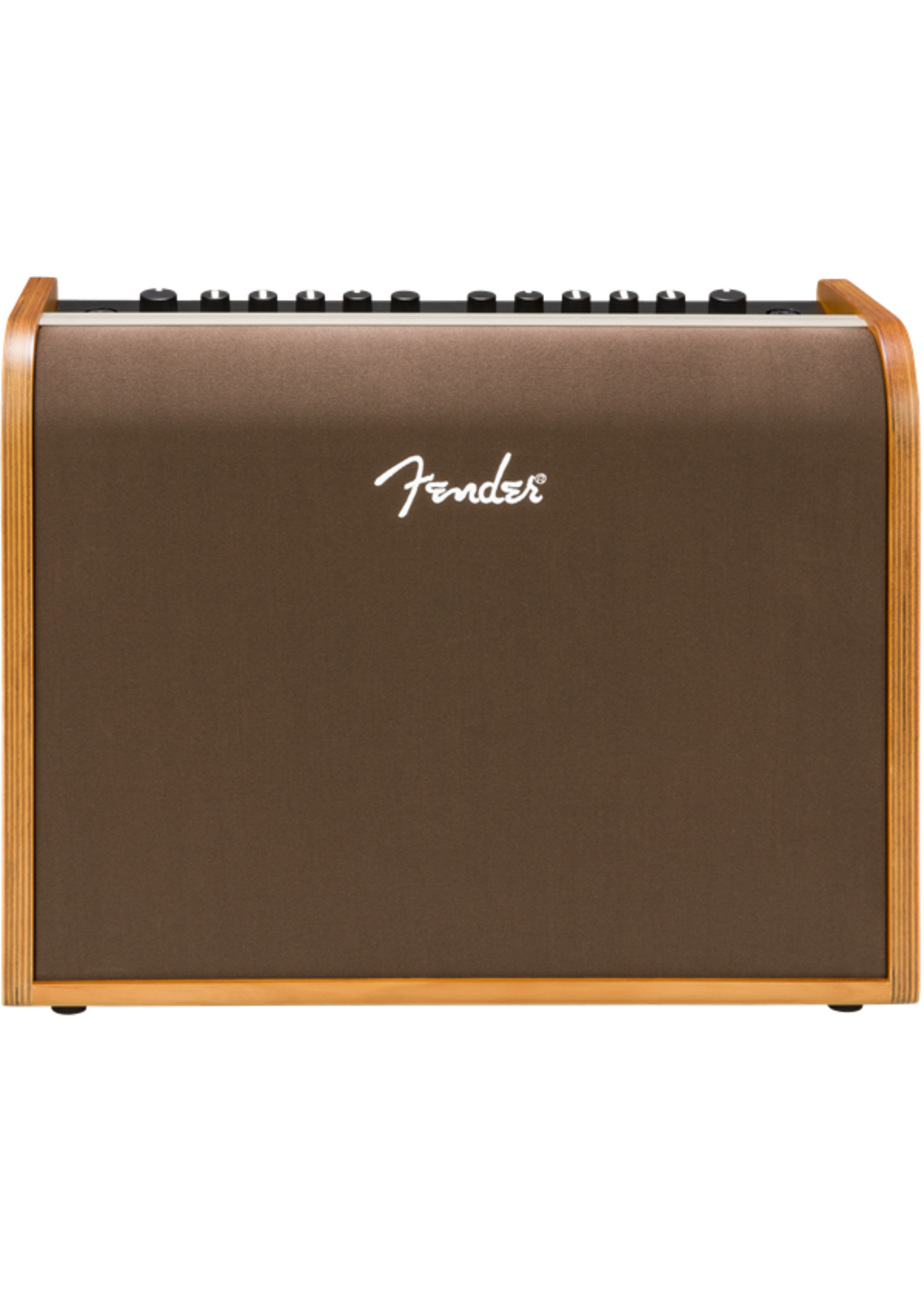 Fender Fender ACOUSTIC 100