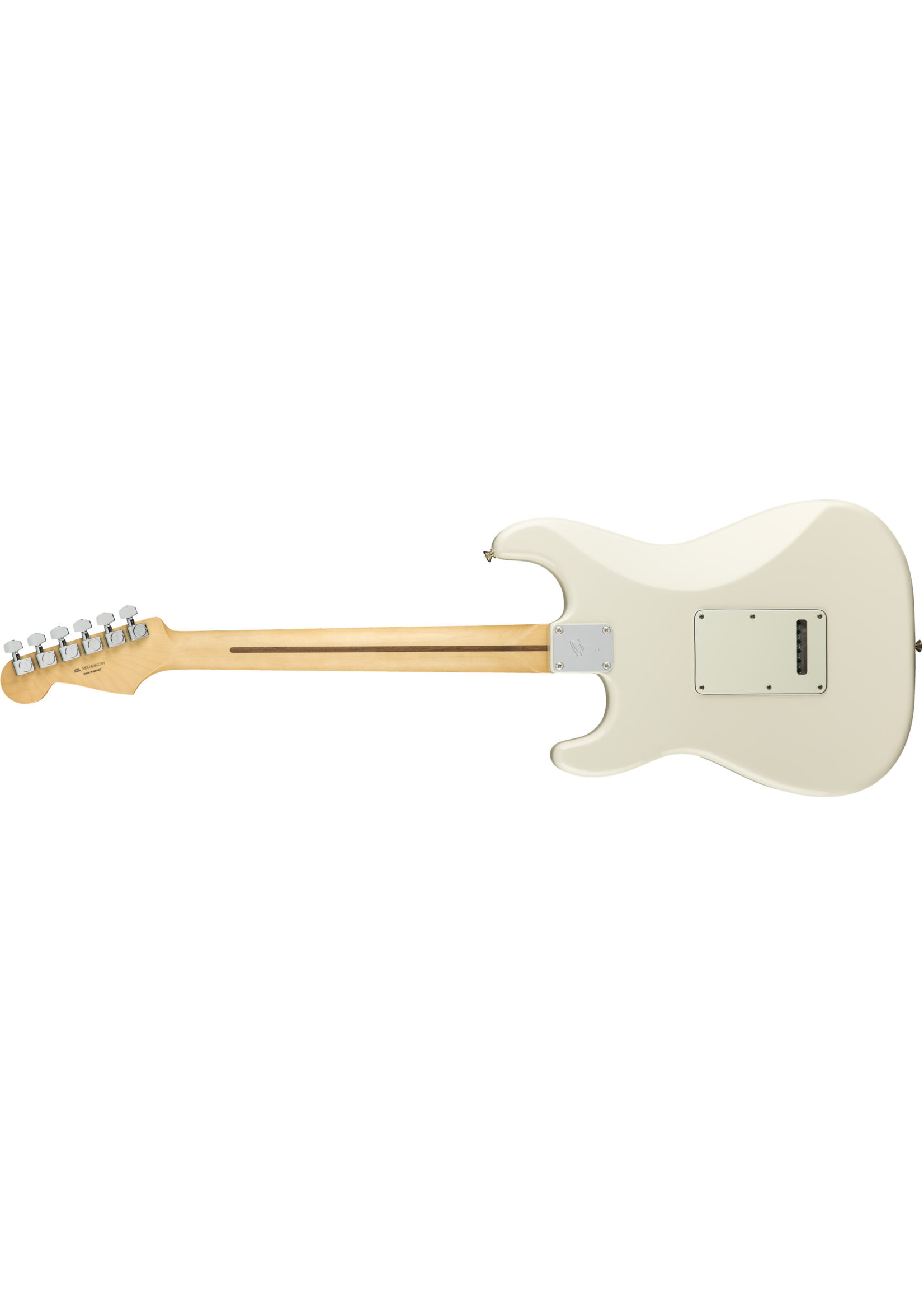 Fender Fender Player Stratocaster PWT maple