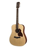 Richwood Richwood D-20 Master Series Dreadnought c