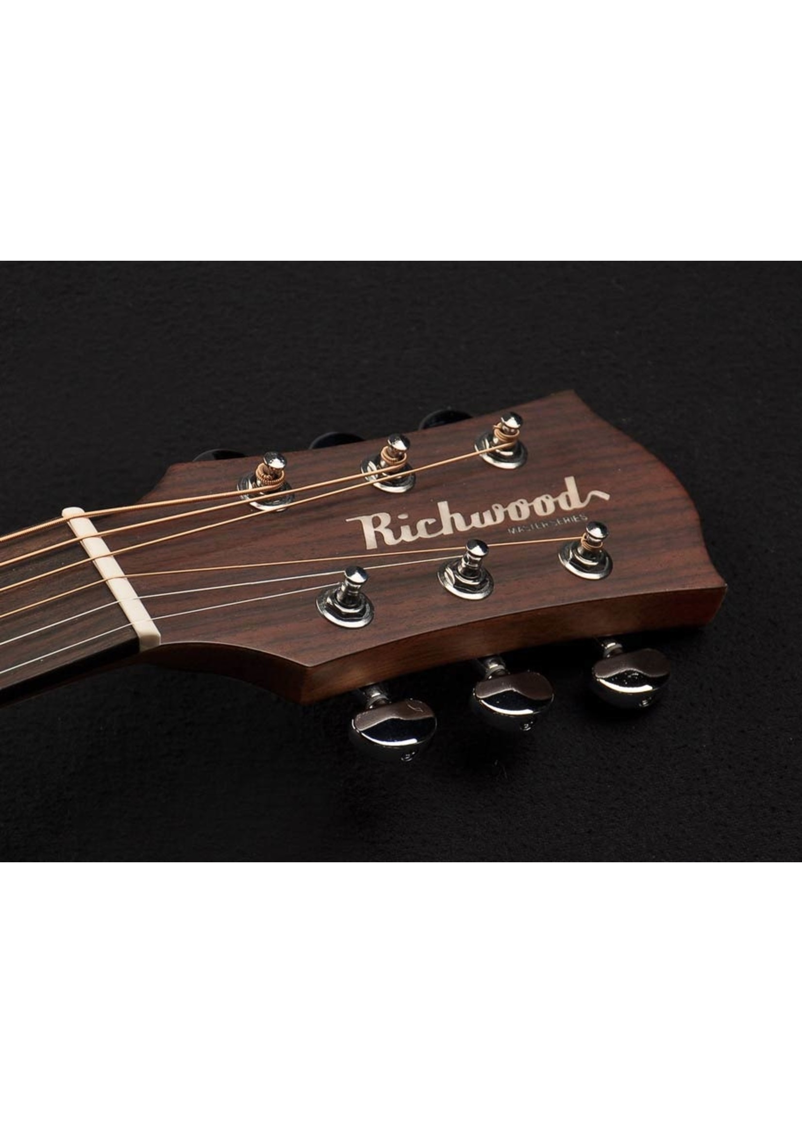 Richwood Richwood D-20 Master Series Dreadnought c