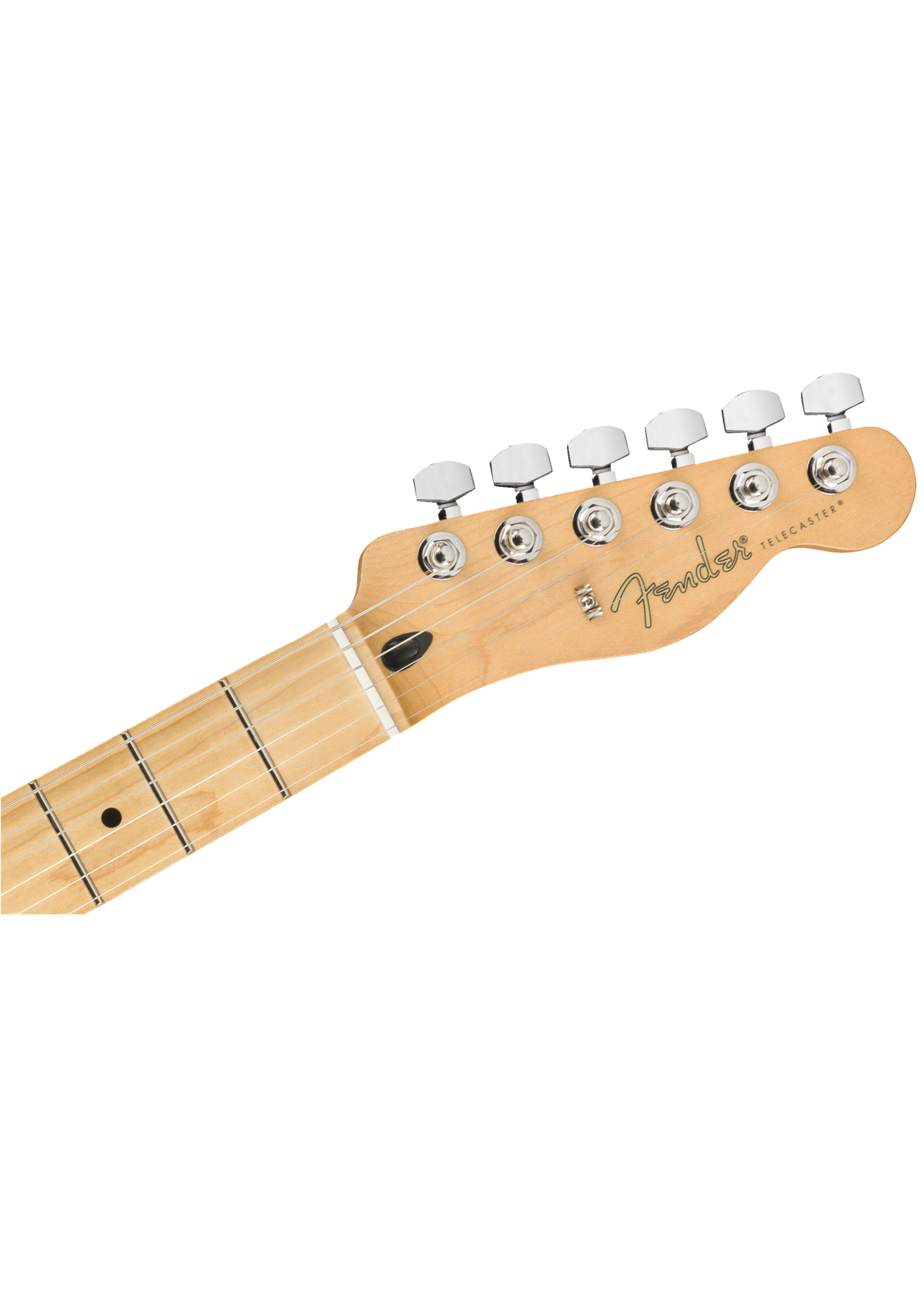 Fender Fender Player Telecaster Tidepool Maple