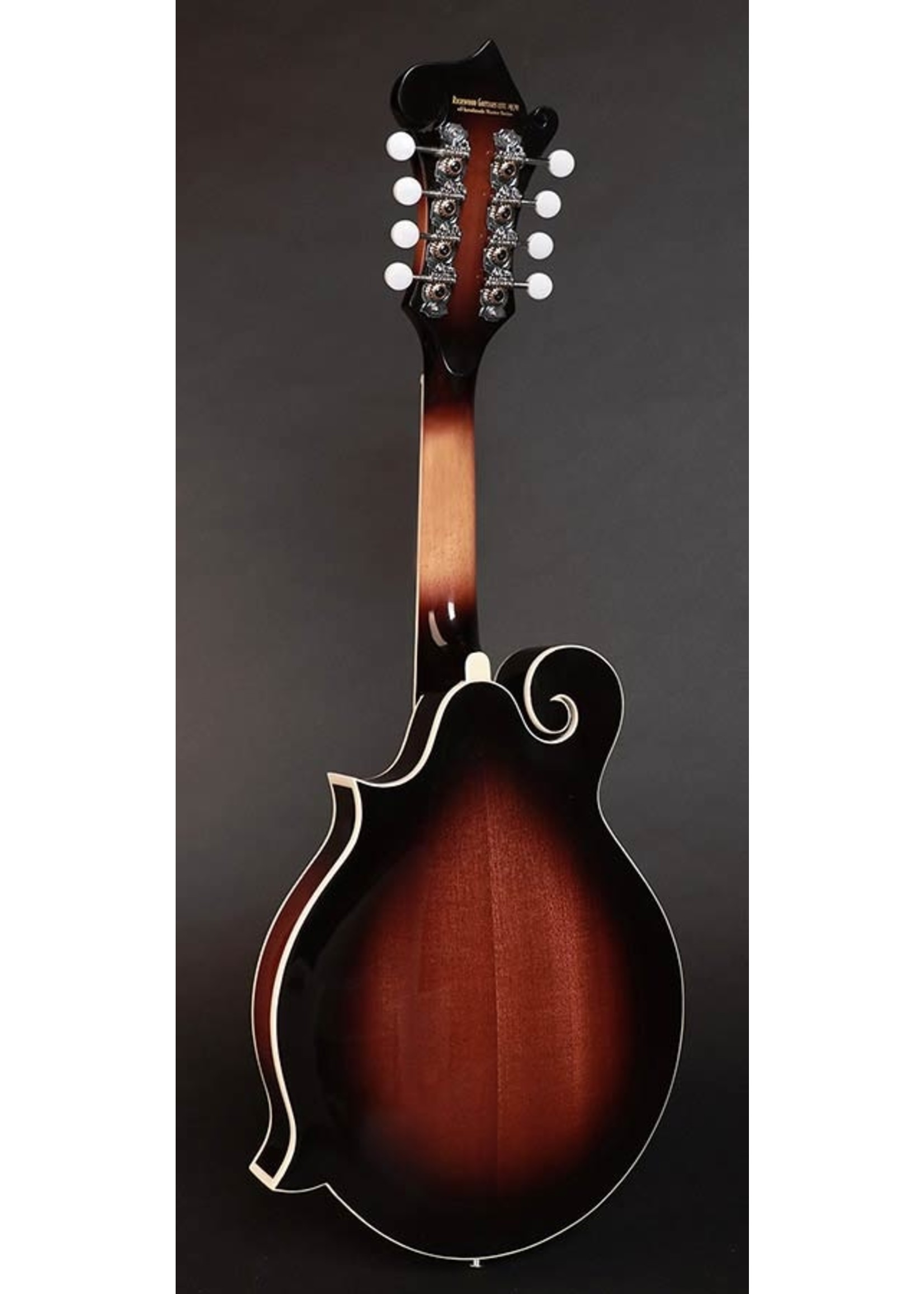 Richwood Richwood  RMF 60 VS Master Series mandoline F-style neck repair