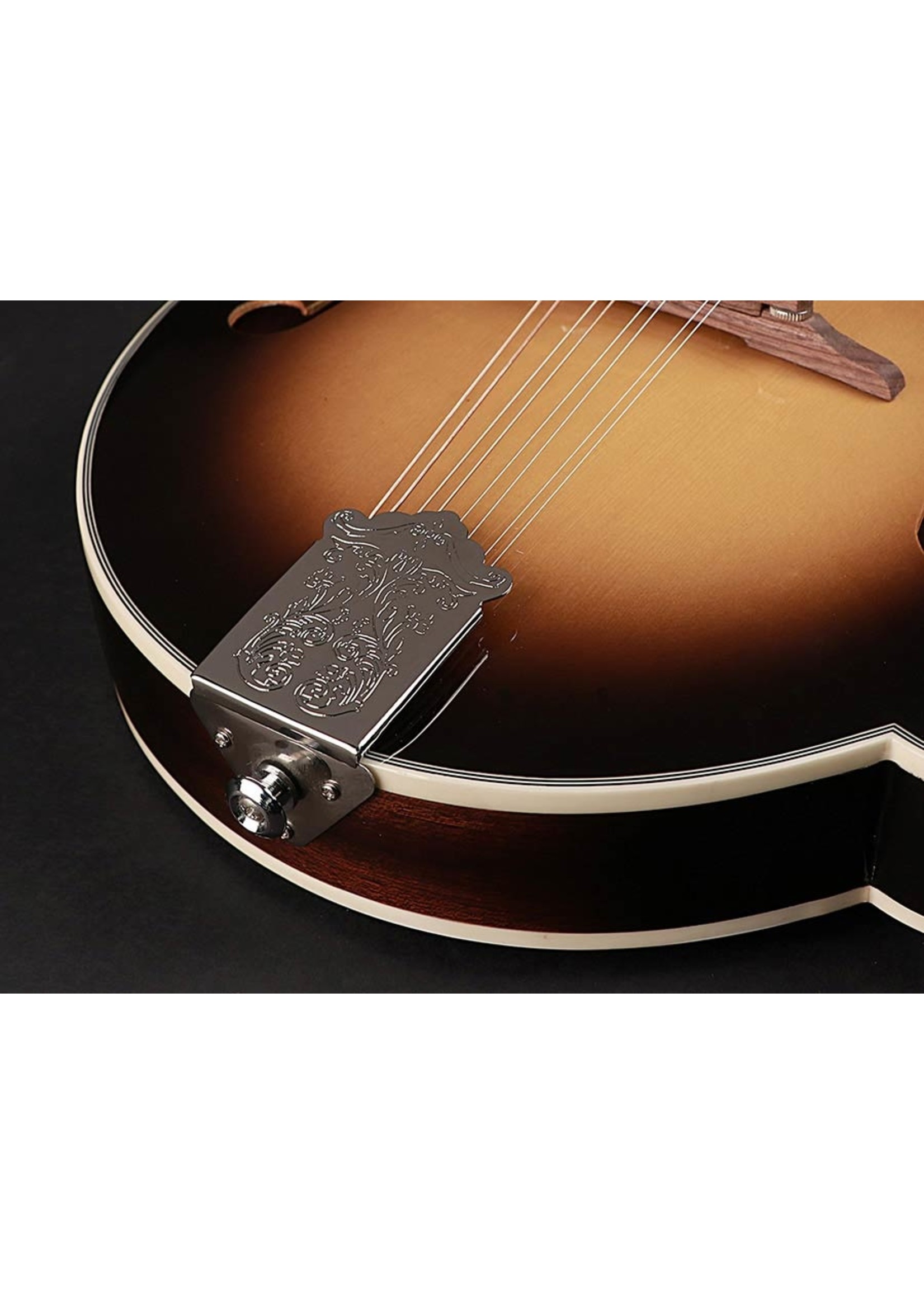 Richwood Richwood  RMF 60 VS Master Series mandoline F-style neck repair