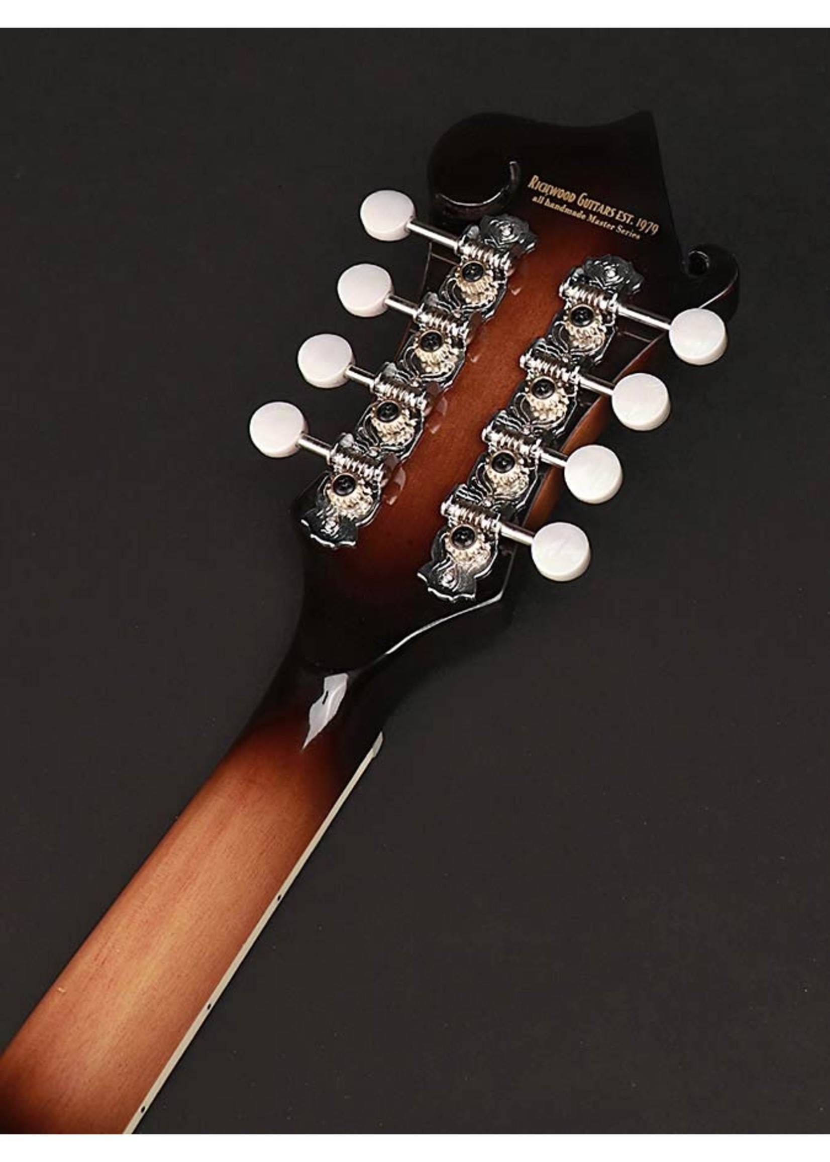 Richwood Richwood  RMF 60 VS Master Series mandoline F-style neck repair