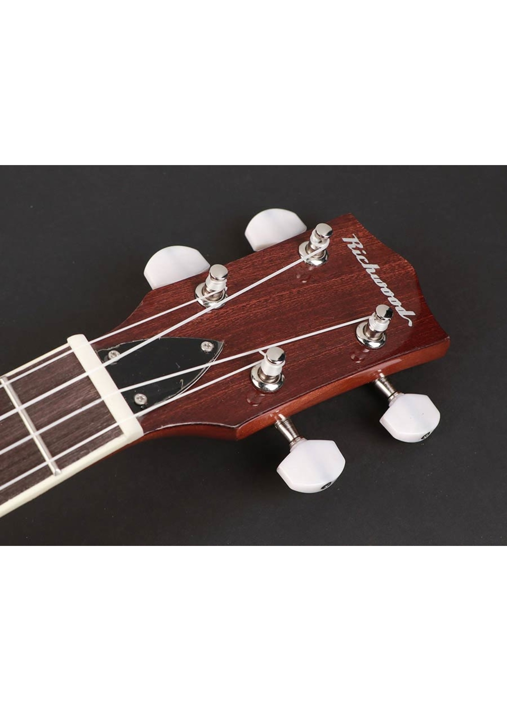 Richwood Richwood RMBU 404 Master Series ukelele banjo. open achterkant