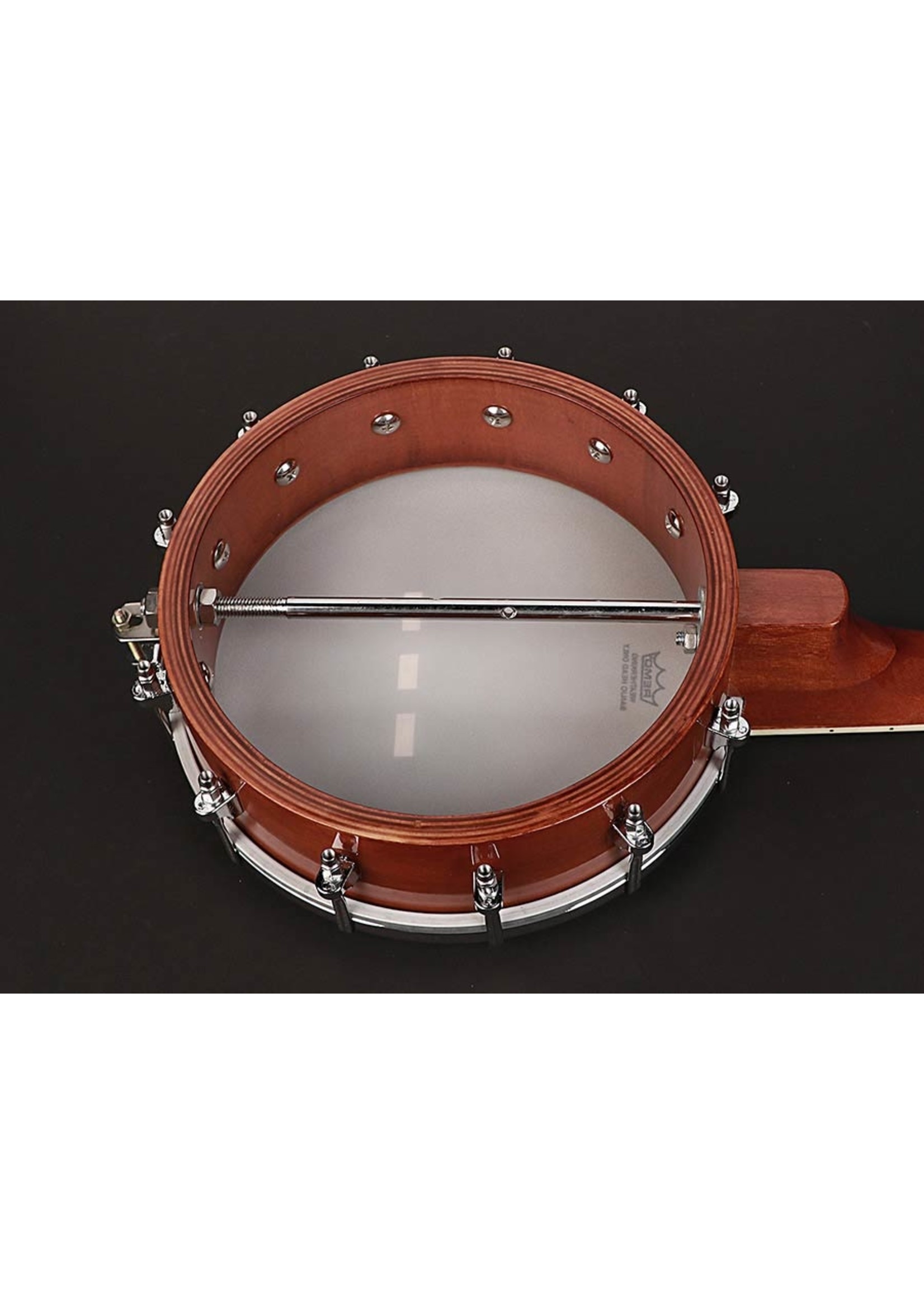 Richwood Richwood RMBU 404 Master Series ukelele banjo. open achterkant