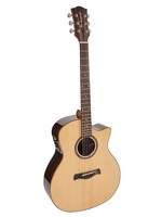 Richwood Richwood SWG-150-CE Songwriter R