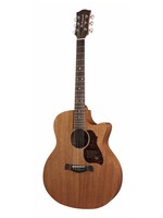 Richwood Richwood G-50CE