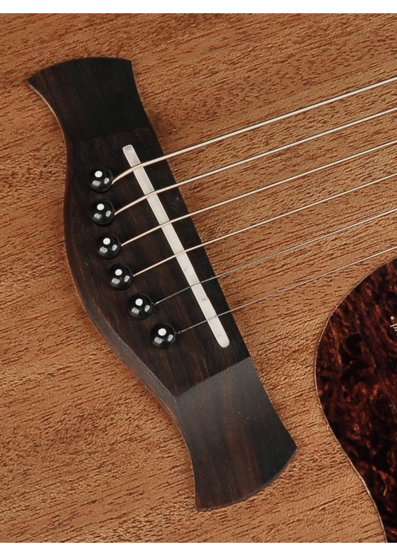 Richwood Richwood G-50CE