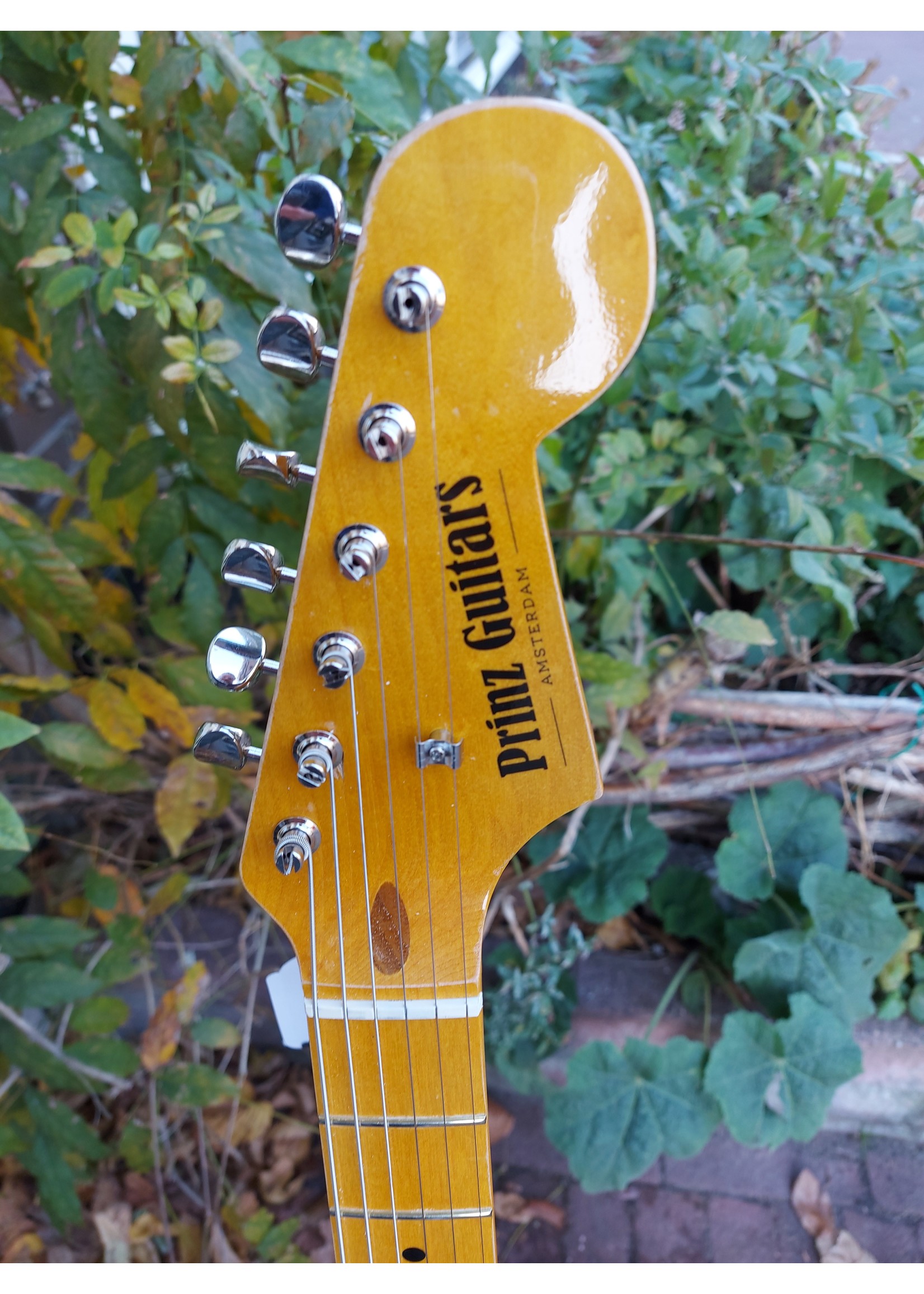 Prinz Guitars Prinz Guitars S-Style Blue