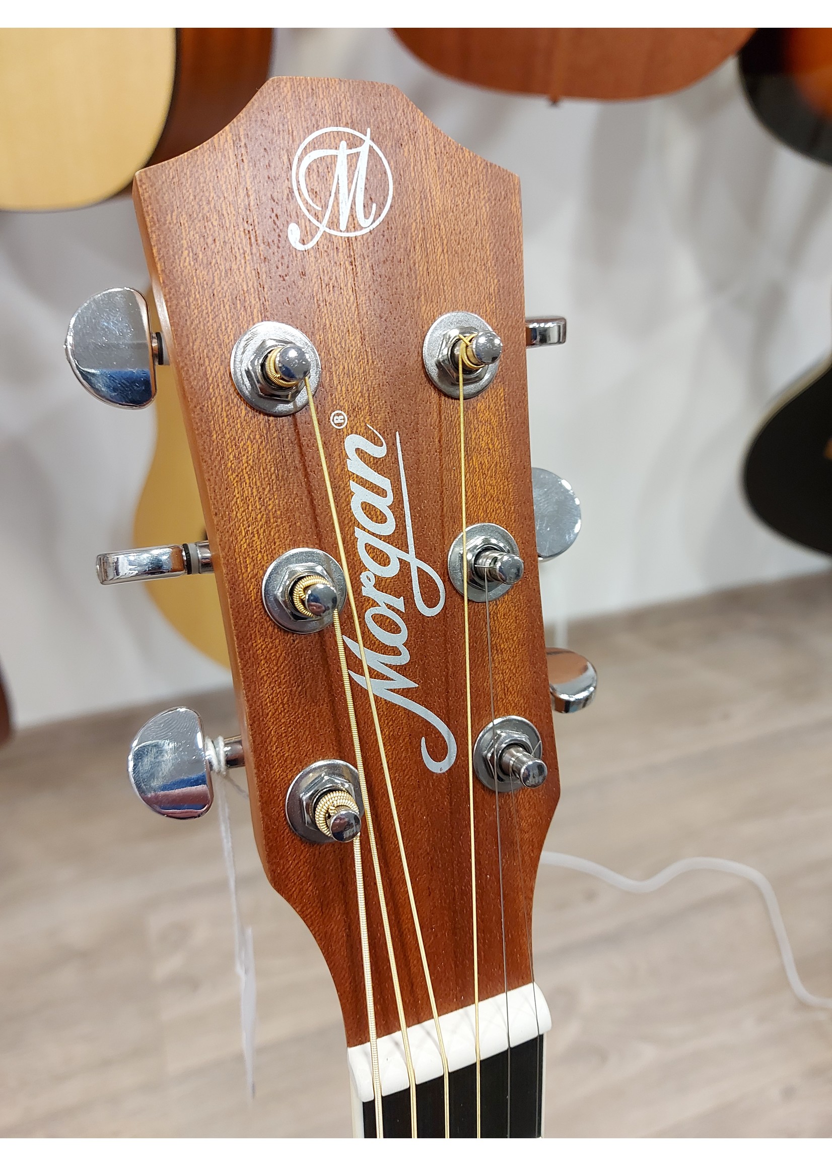 Ieder Voorschrijven Rechtdoor Morgan Western W21SCE N - Prinz Guitars Amsterdam