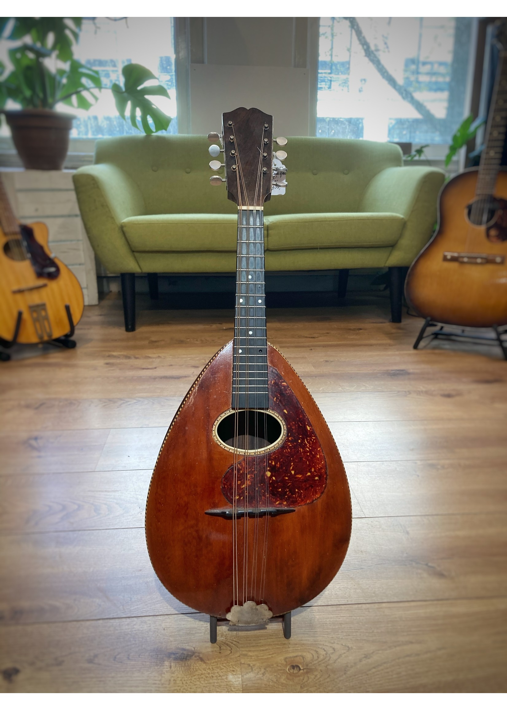Weymann and sons Mandoline 1921 mandolute No. 20