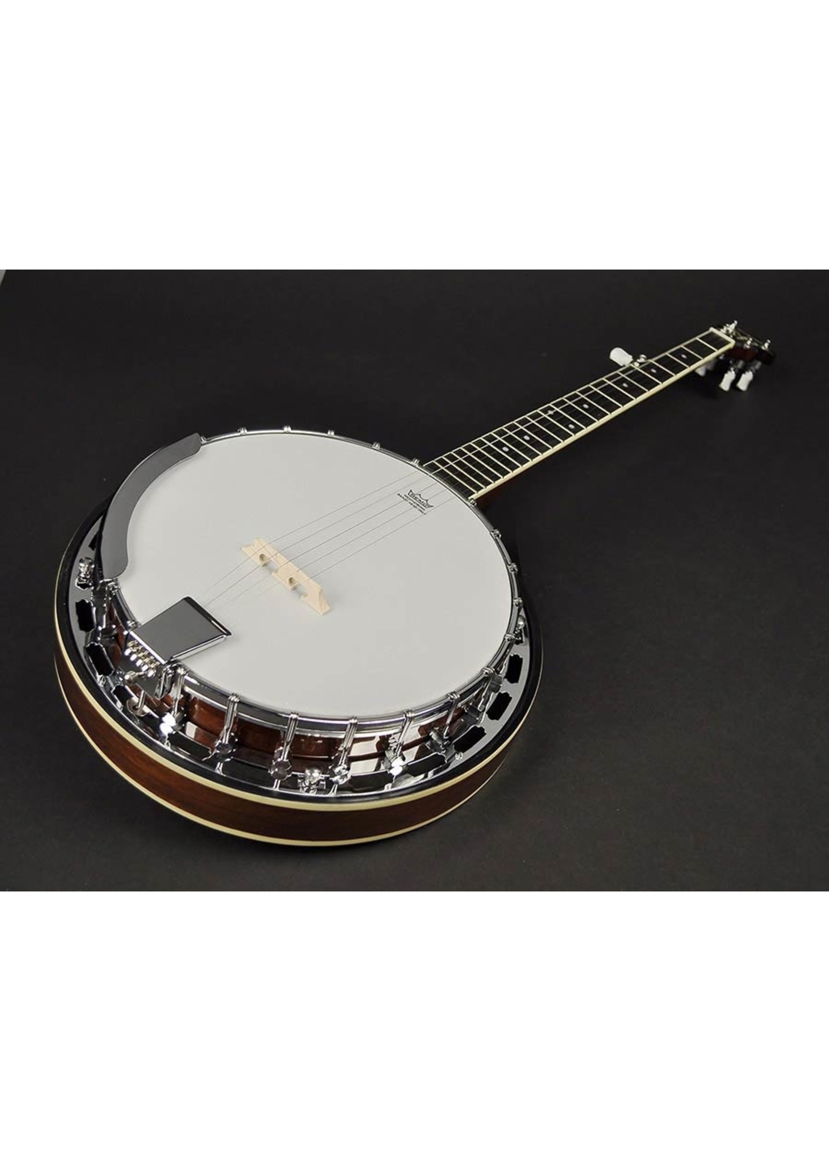 Richwood Richwood RMB-605 5-snarige bluegrass banjo