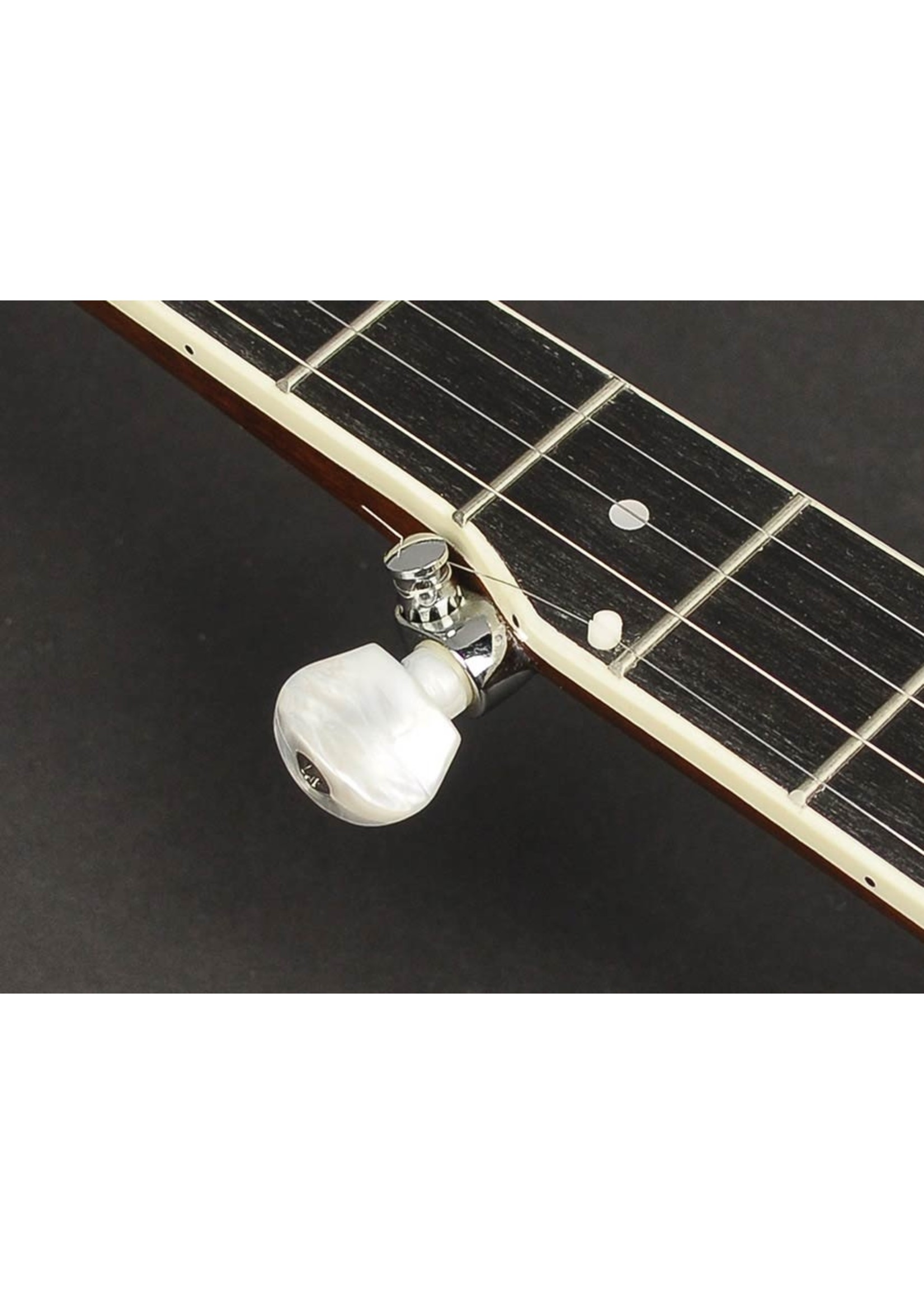 Richwood Richwood RMB-605 5-snarige bluegrass banjo