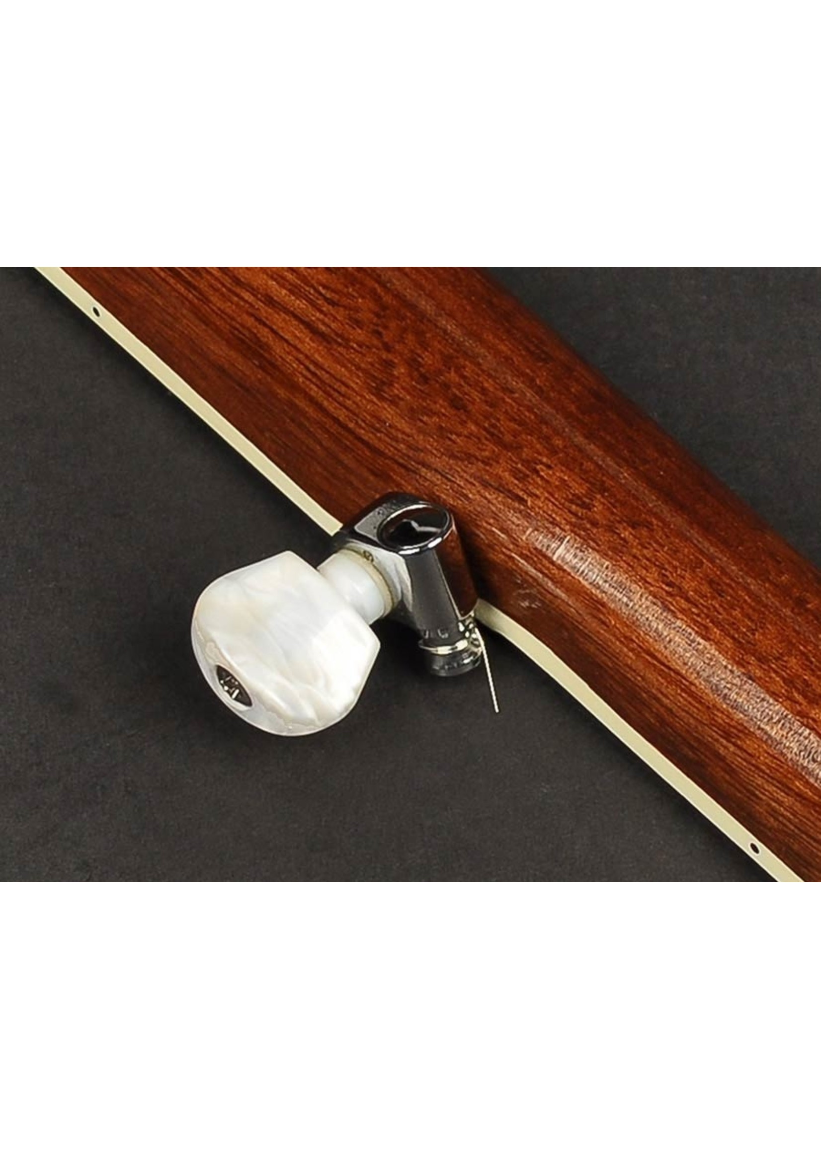 Richwood Richwood RMB-605 5-snarige bluegrass banjo