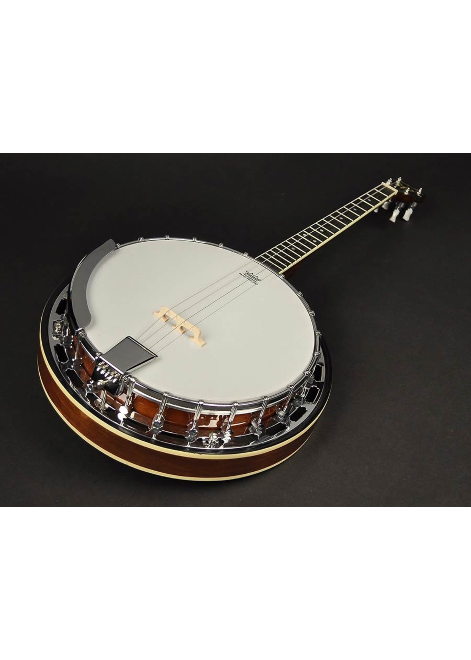 Richwood Richwood RMB 604 tenor banjo