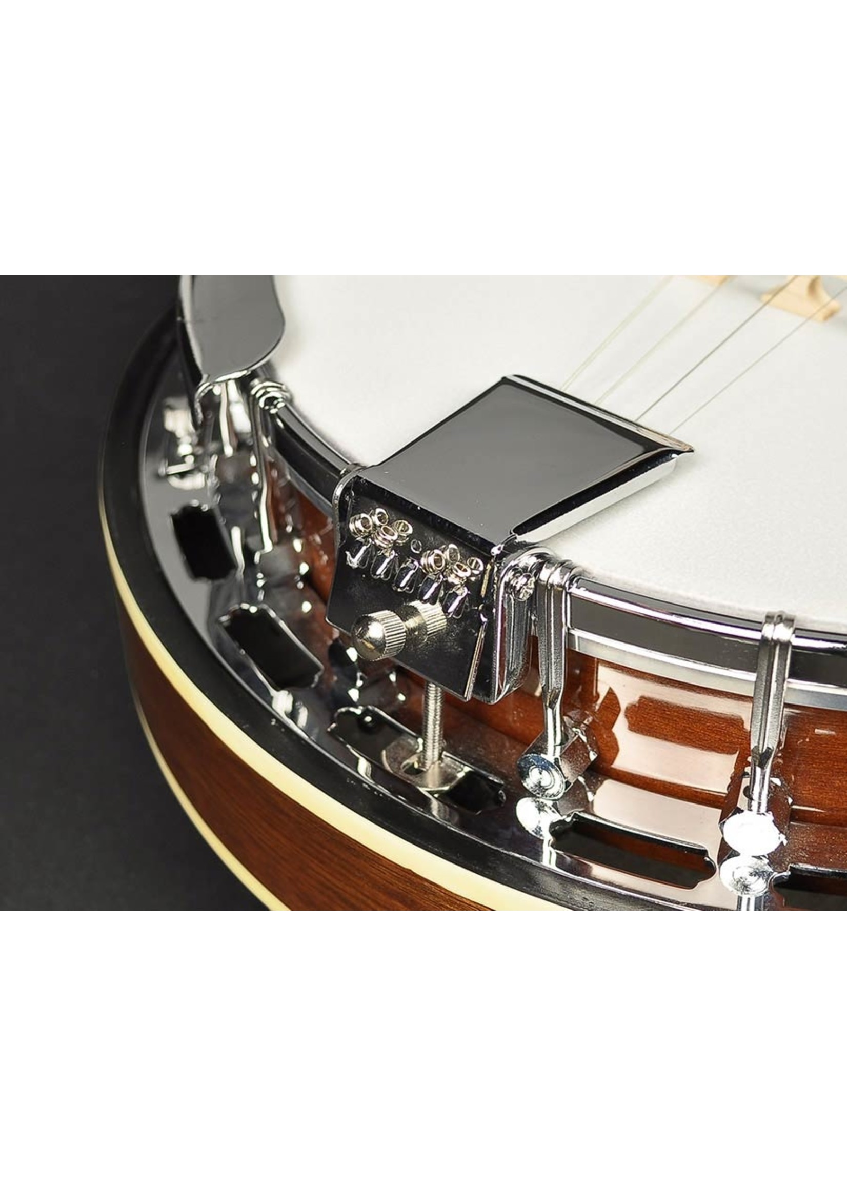 Richwood Richwood RMB 604 tenor banjo