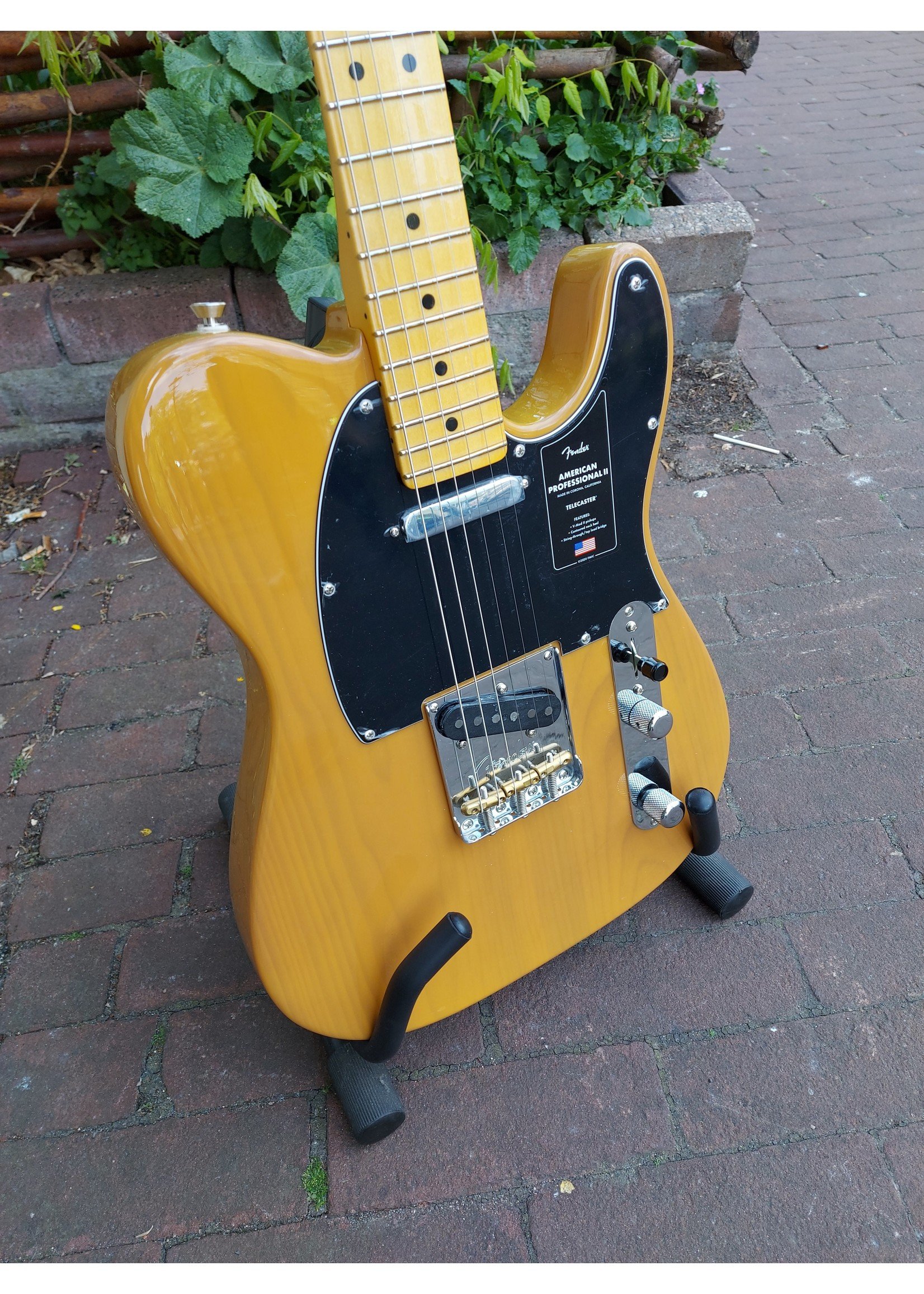 Fender Fender American Professional II Telecaster Butterscotch Blonde