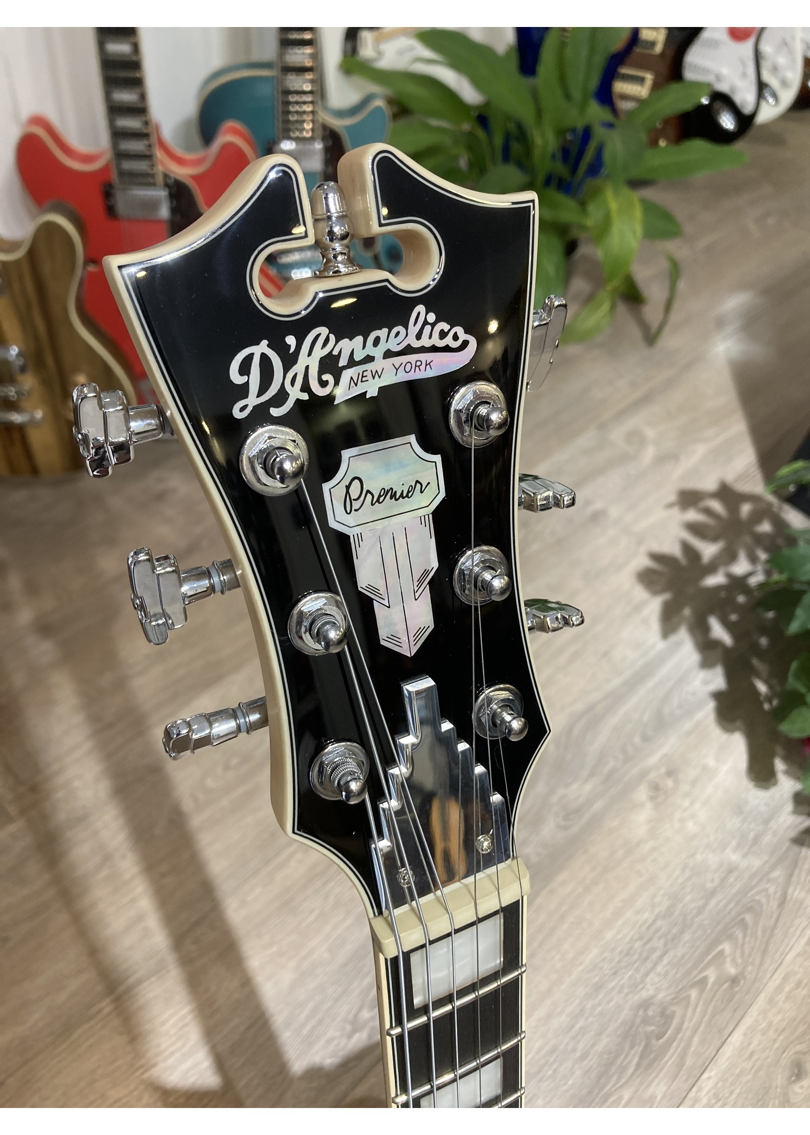 D'Angelico D'Angelico Premier SS (with stop-bar tailpiece) Ocean Turquoise Incl hoes