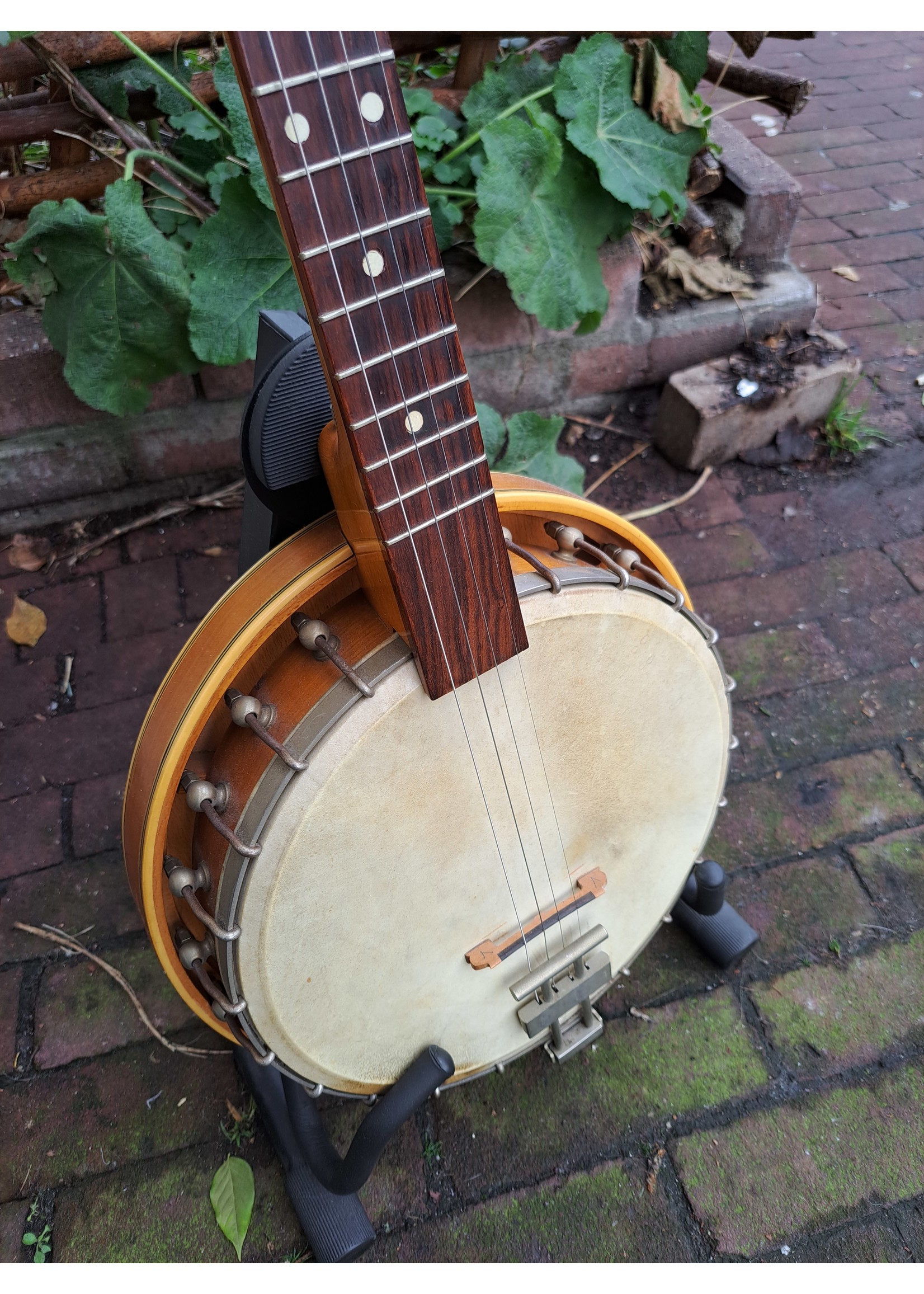 Oude Tenor Banjo