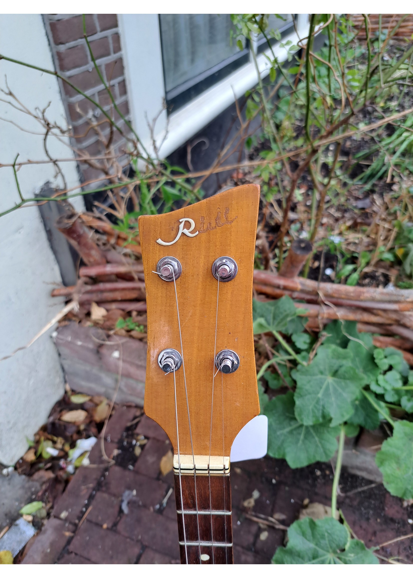 Oude Tenor Banjo