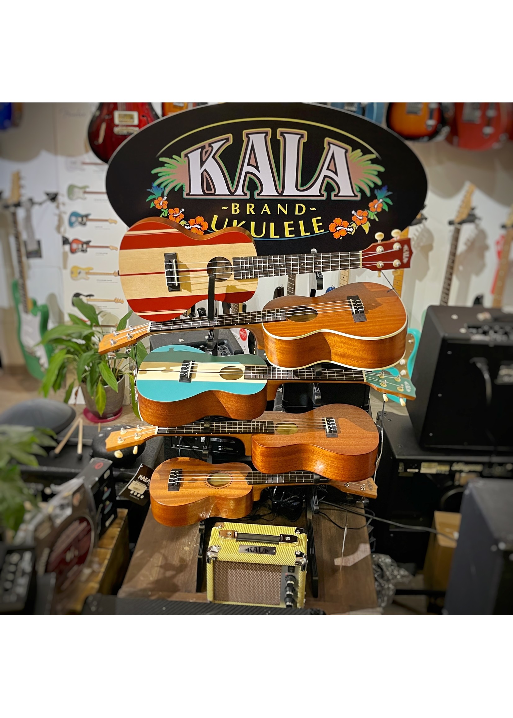 Kala Kala bas ukulele Mahogany Journeyman U-Bass, Fretted with bag