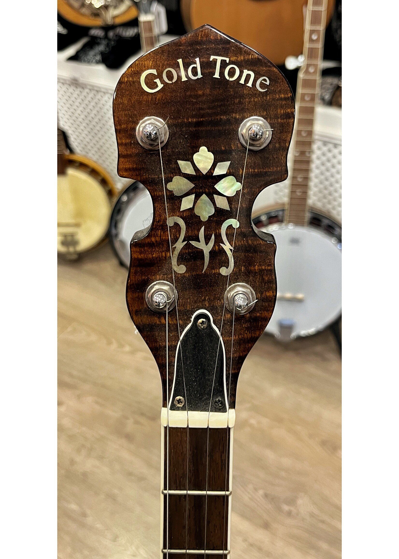 GoldTone Plectrum Banjo PS-250 occasion