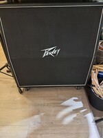 Peavey 4x 12 cab occasion