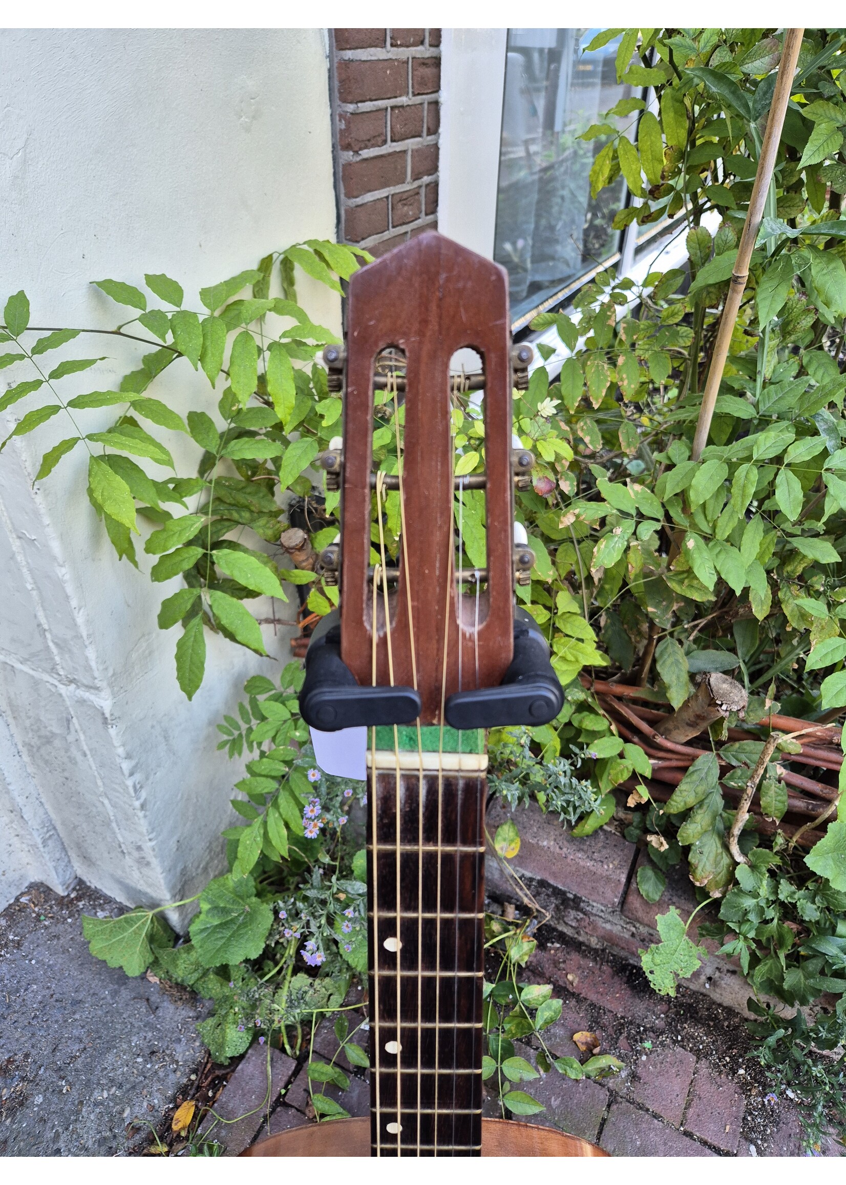 Fratelli Indelicato 1950s gitaar