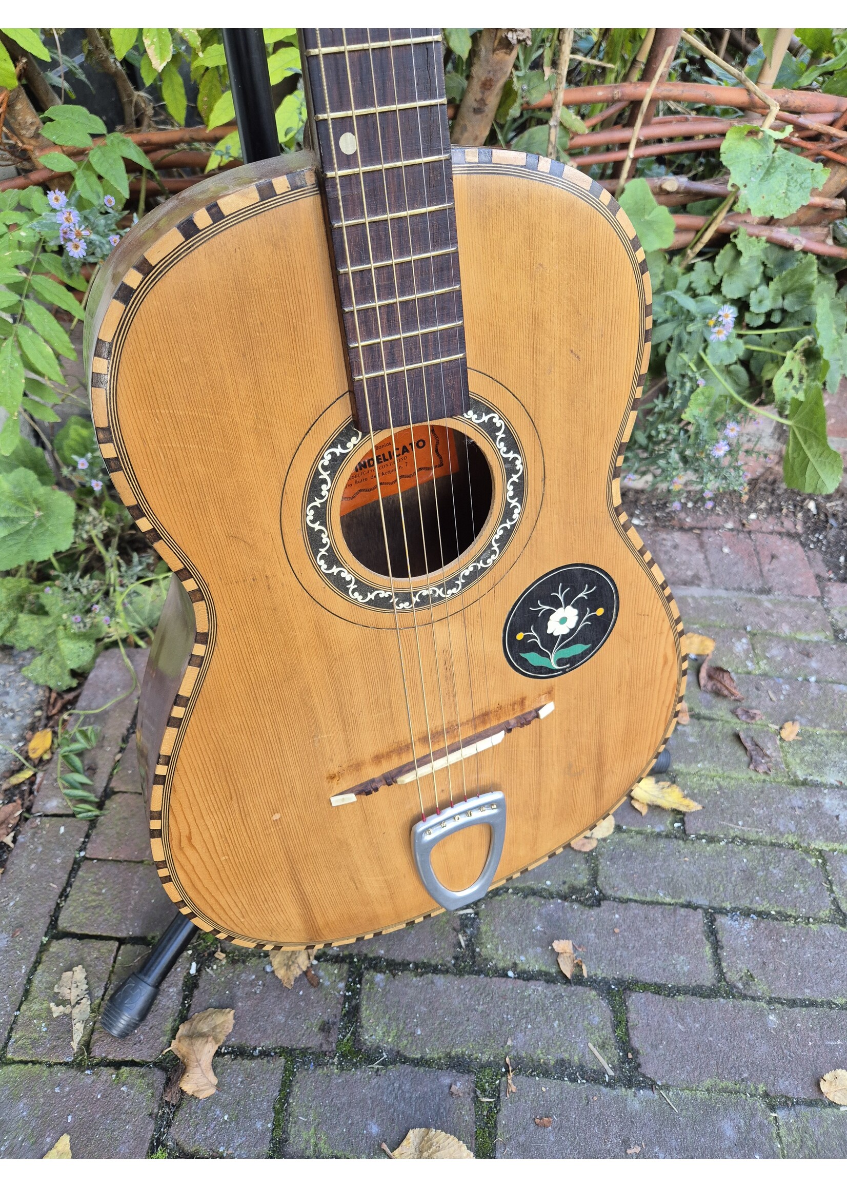 Fratelli Indelicato 1950s gitaar