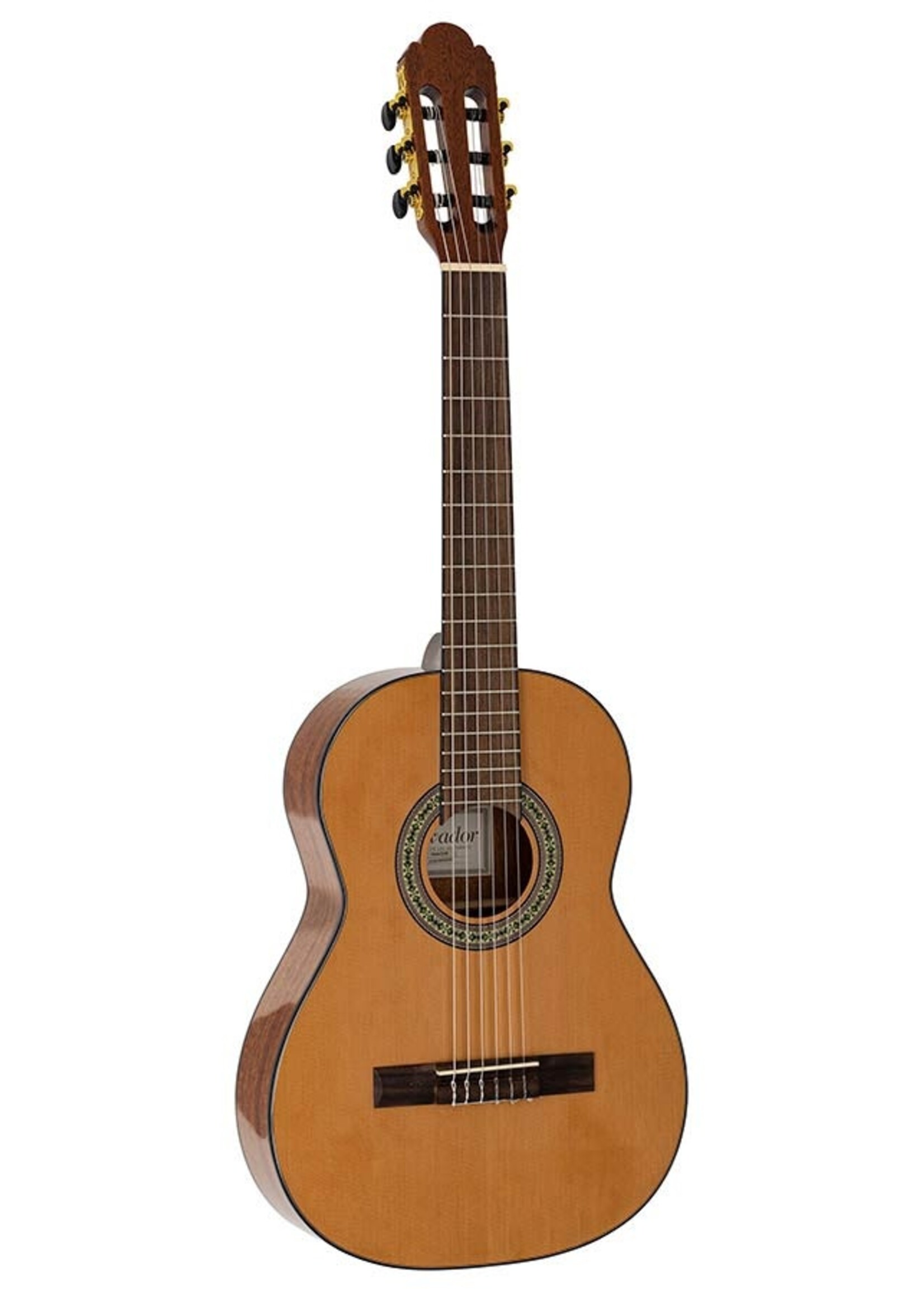 Salvador Salvador Nova C/sn 630mm scale