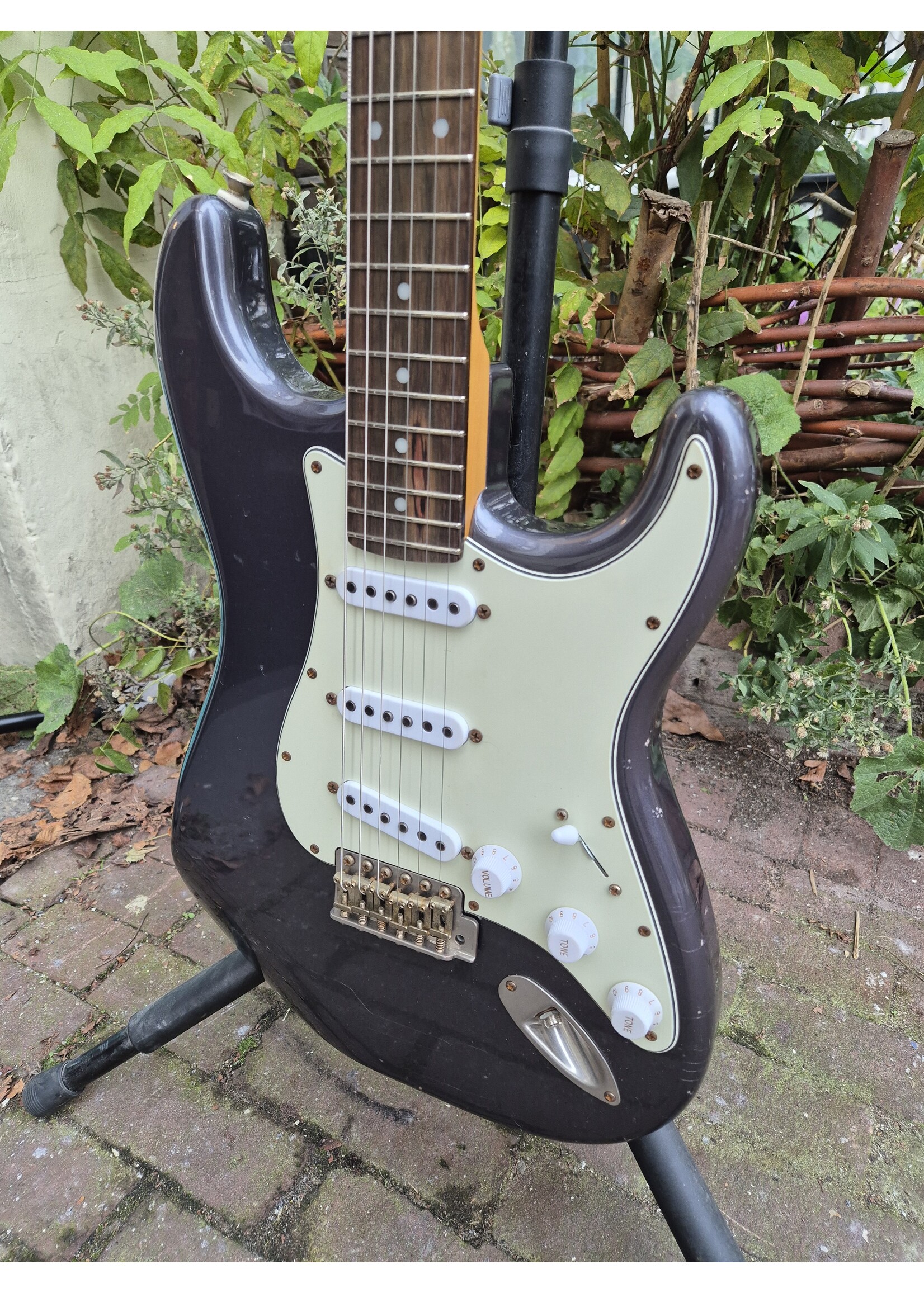 Woodstock Woodstock Old Boy S Charcoal Frost Rosewood SSS
