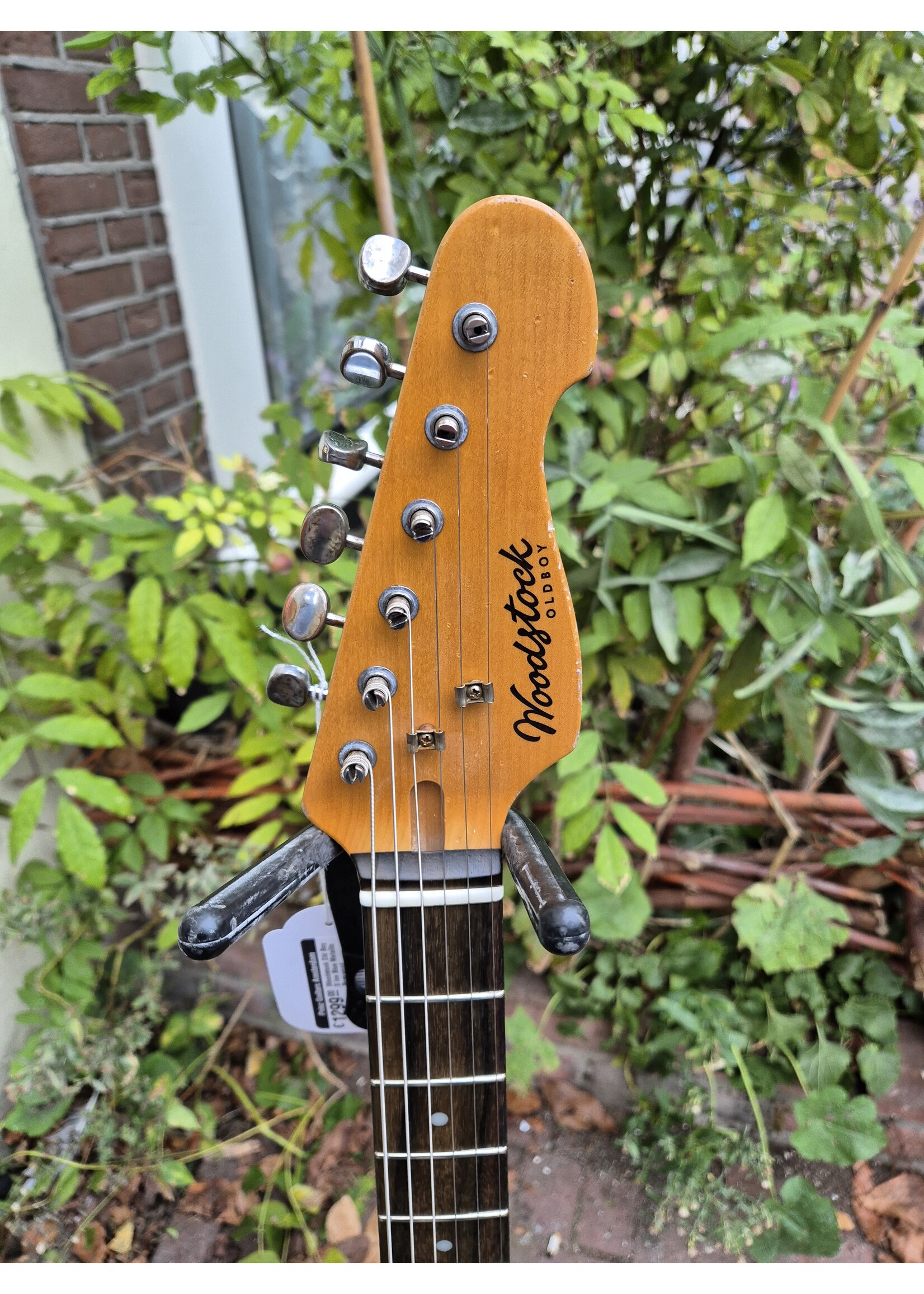 Woodstock Woodstock Old Boy S Ice Blue Metallic Rosewood SSS