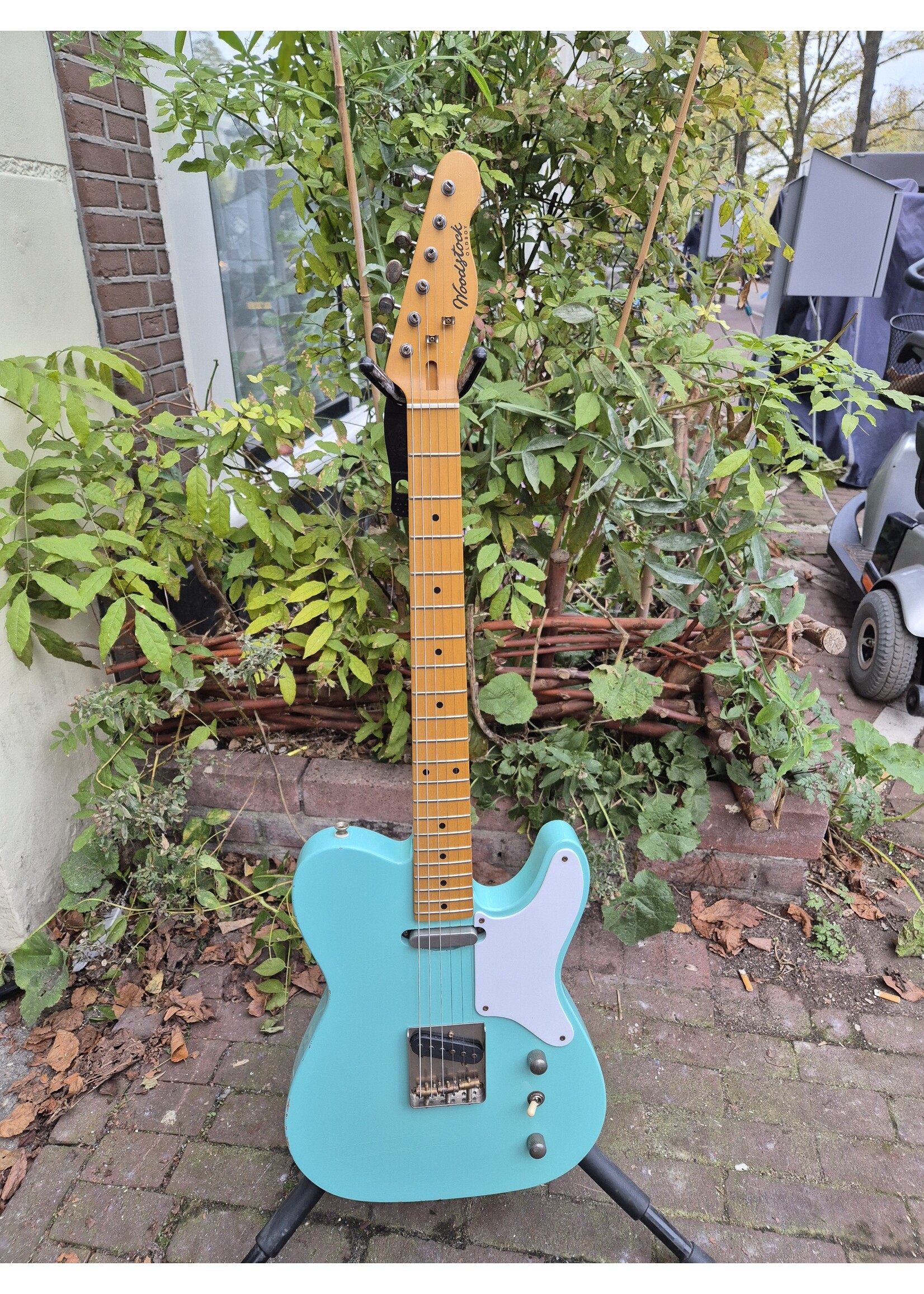 Woodstock Woodstock Old Boy T, Seafoam Green Maple SS